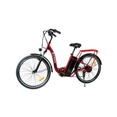 Bici Elettrica Ztech CY-O1 Akery 250W