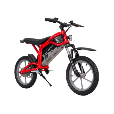 Mini Cross Elettrica Tao M16