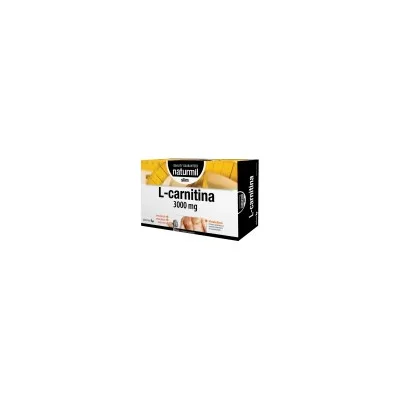 NATURMIL L-CARNITINA 3G 20 FIALE