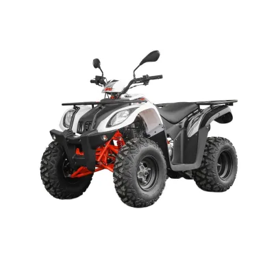Quad Kayo AU200 Omologato