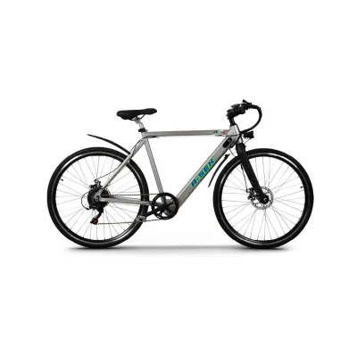 Bici Elettrica NCX A-SEK 250W
