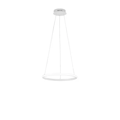 Lampada a sospensione LED bianco circolare in metallo, 20W, CCT, 150x40cm