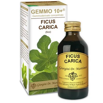Dr. Giorgini Gemmo 10+ Fico Analcoolico 100 ml