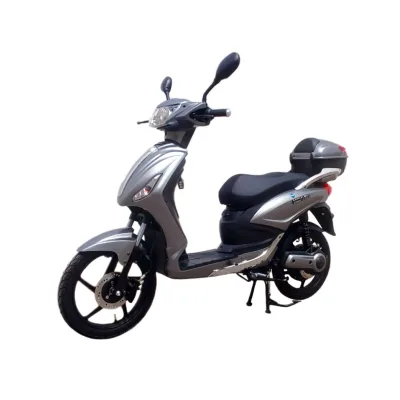 Scooter Elettrico NCX X-Tech EVO 1250W Targabile