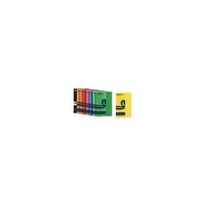 CARTOTECNICA FAVINI CF100 FG RISMALUCE NERO 90G A4 A69A144