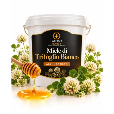 Miele di Trifoglio Bianco all'Ingrosso - 25kg, 1