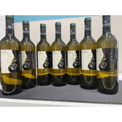 CONFEZ. DA 6 FALANGHINA BALESTRIERI GRAGNANO