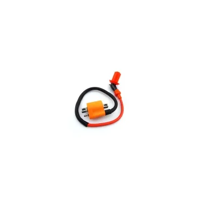 Bobina di accensione da corsa 125cc 150cc 200cc 250cc ATV Quad 4 ruote Taotao Sunl