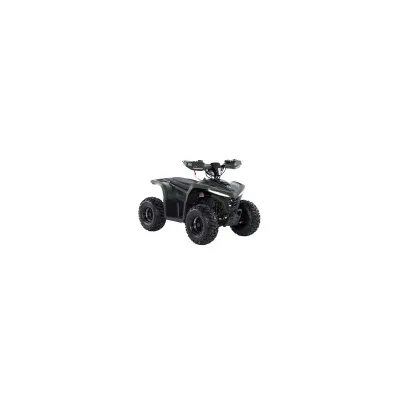 Mini Quad E-ATV Ztech Powerkid 750W/1600W Ruote 7"