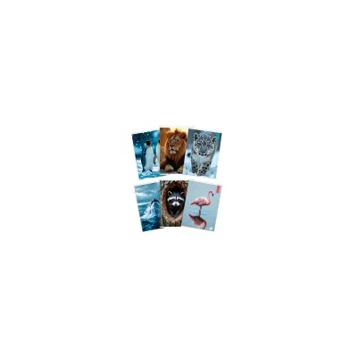 BM - BeMore CF 10 QUADERNI ANIMAL A4 80GR R.B 0110376