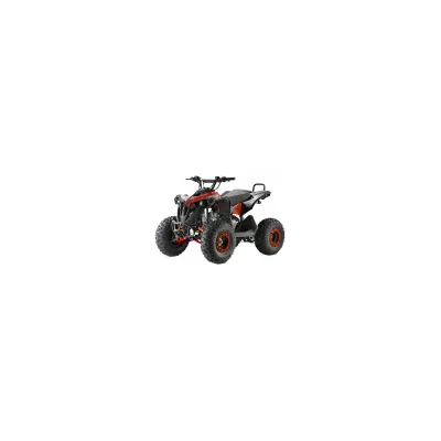 Quad AF Renegade XXL 125cc Ruota 8"