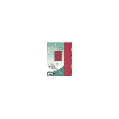 EXACOMPTA DIVISORI12TASTI A4 NATUREFUTURE 1412E