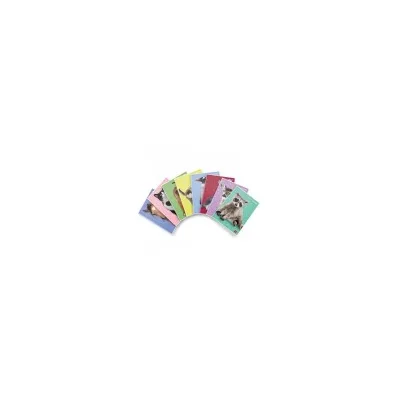 PIGNA CF10 MAXI D.CUCCIOLI 42FF 0B F.TOA4 02330170C