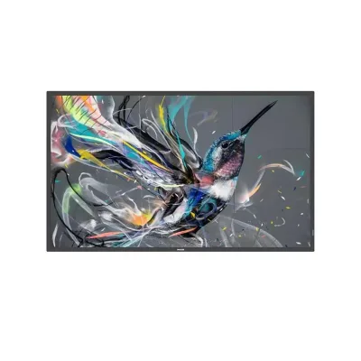 PHILIPS DS MONITOR 55 Q-LINE 18/7 4K 55BDL3511Q