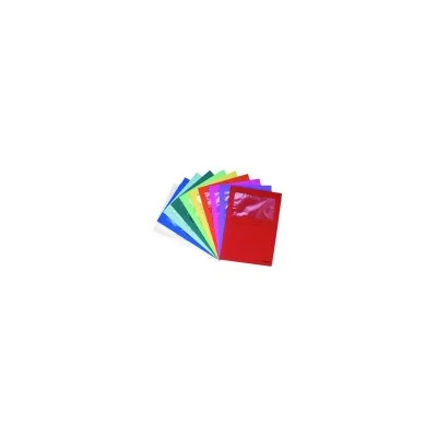 EXACOMPTA CF10CARTELLINE CON FINESTRA FOREVER 50200E