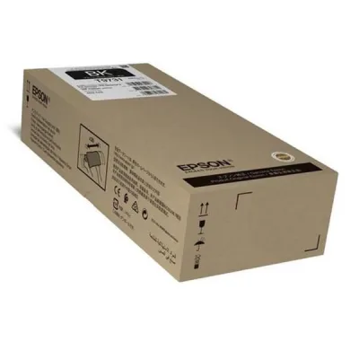 C13T97310N
