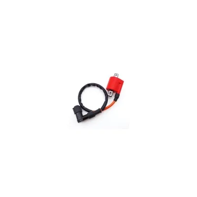 Bobina di accensione ad alte prestazioni per 150cc 200cc 250cc Dirt Bike ATV Quad 4 ruote