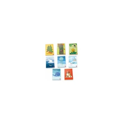 PIGNA CF10 QUAD 20FG ANIMALIAM A4 80G ASS 02320550B