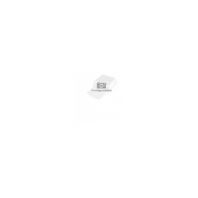 Epson Rips HW A3 RIPS STAPLES C12C934911