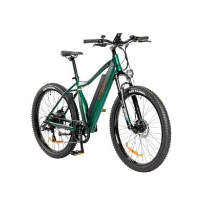 Bici Elettrica Ztech ZT-87 250W Ruote 27.5