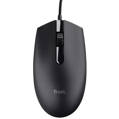 25295