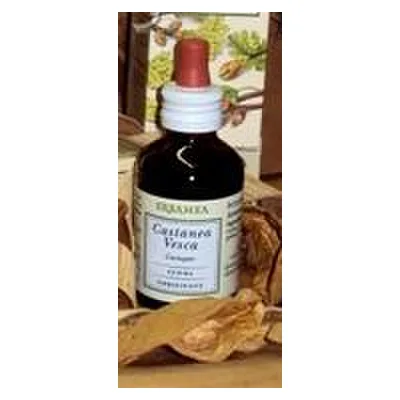 Castanea Vesca Gemme Gemmoderivato Bio 50 ml
