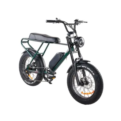 Bici Elettrica Ztech ZT-86A Legacy 2.0 250W