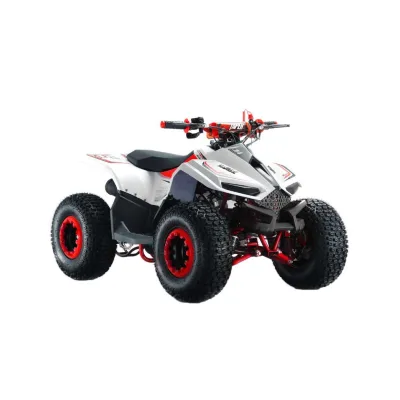Mini Quad LEM Grizzly 110cc Ruote 7"