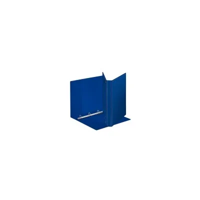 ESSELTE RACCOGLITORE DISPLAY PERS. 25MM BL 394752500