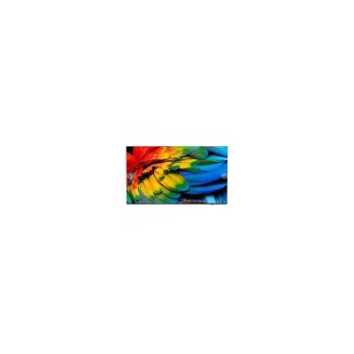 Philips Hotel tv 43 MEDIASUITE IPTV 4K CHROMECAST 43HFL6214U/12