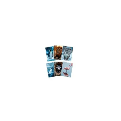BM - BeMore CF 10 QUADERNI ANIMAL A4 80GR R.1R 0110380