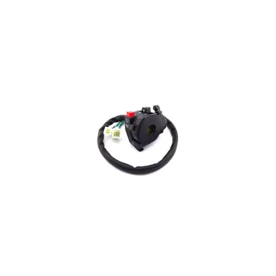Gruppo interruttore con leva dell'aria 110 cc 150 cc 200 cc ATV Quad Taotao Sunl Roketa