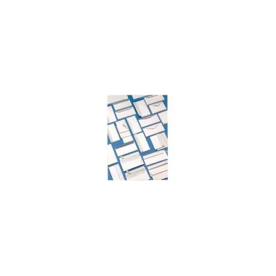 BLASETTI CF500 BUSTE S/FIN 11X23CM 48