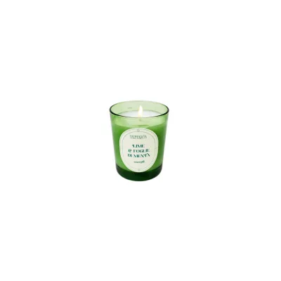 NASOTERAPIA CANDELA LIME E FOGLIE DI MENTA 180G