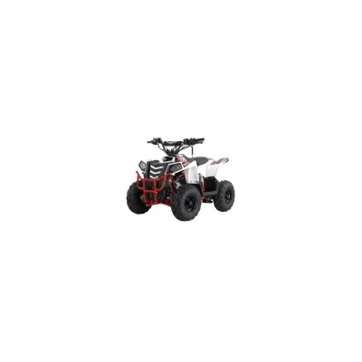 Mini Quad Apollo Mini Commander 110cc