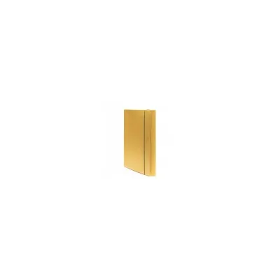 FELLOWES LEONARDI CARTELLA PROGETTO HOLOS 3 GIALLO 100102107