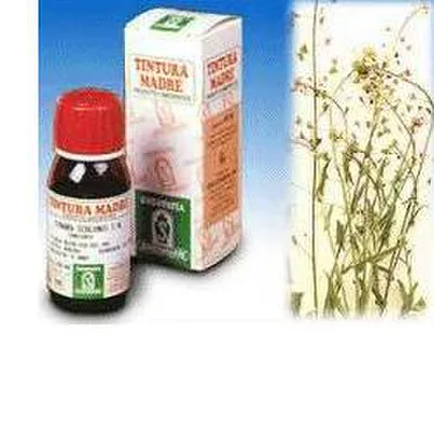 Specchiasol Soluzione Idroalcolica 4 Borsa del Pastore 50 ml