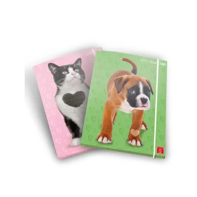 PIGNA CARTELLE A 3 LEMBI A4 DORSO 1,3 CM 02330323L
