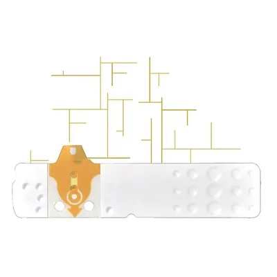 Bioseven Linea D Oro Strisce Reattive Per Glicemia 25 Pezzi