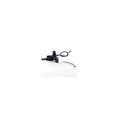 Cilindro principale idraulico destro Leva del freno 50cc 110cc 125cc 150cc ATV Quad Dirt Bike