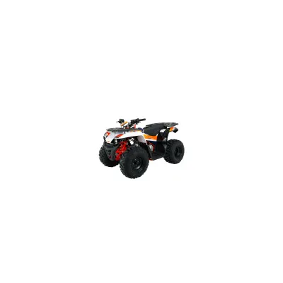 Quad Kayo AU 125cc Ruota 8" New