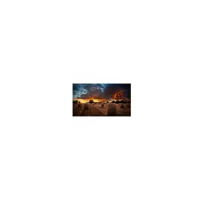 SAMSUNG VM46B-U 46 IPS 1920X1080 500 CD/M2 LH46VMBUBGBXEN