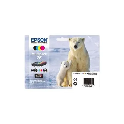 orso polare C13T26164020