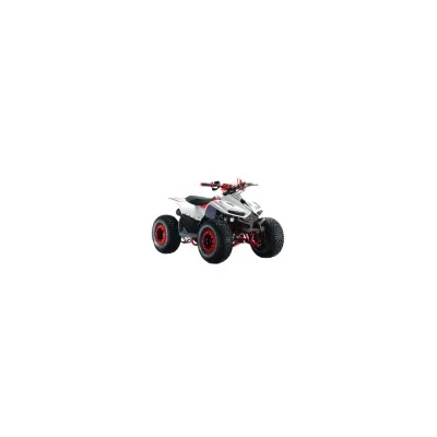 Mini Quad LEM Grizzly 110cc Ruote 7"