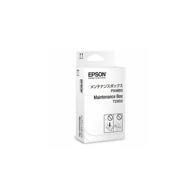 KIT MANUTENZIONE ORIGINALE EPSON C13T295000 T2950 Workforce WF-100W