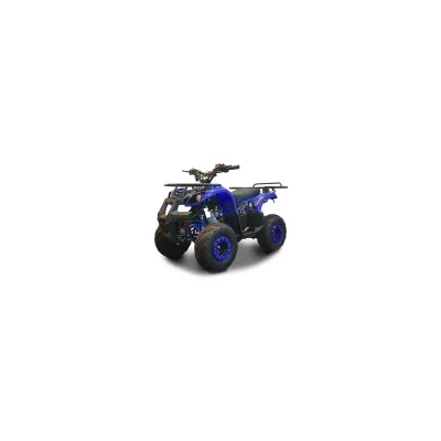 Quad T-REX 125 R7 SUPER WELL