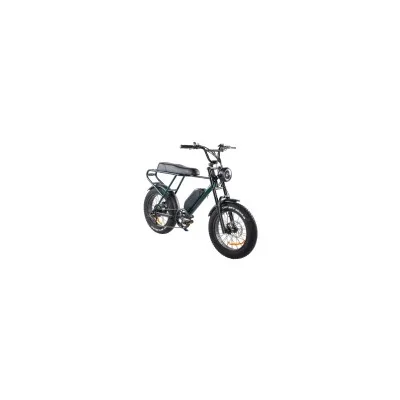 Bici Elettrica Ztech ZT-86A Legacy 2.0 250W
