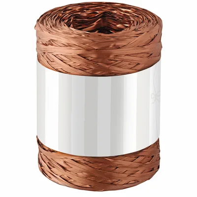 Nastri rafia colore Bronzo - 200x5mm, 12 pz
