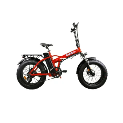 Bici Elettrica Pieghevole OmBike 500W 48V 16Ah