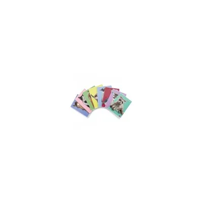 PIGNA CF10 MAXI D.CUCCIOLI 42FF 0B F.TOA4 02330170B